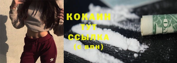 винт Белокуриха