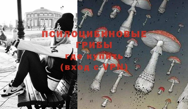 винт Белокуриха