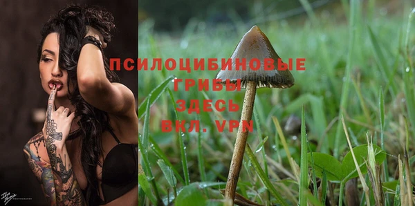 винт Белокуриха