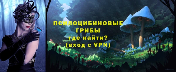 винт Белокуриха