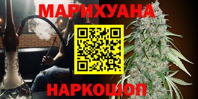 ПСИЛОЦИБИНОВЫЕ ГРИБЫ Бердск