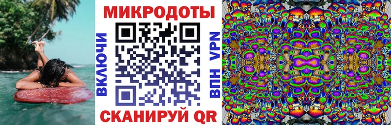 Псилоцибиновые грибы мицелий  где купить наркоту  мега вход  Верхняя Пышма 
